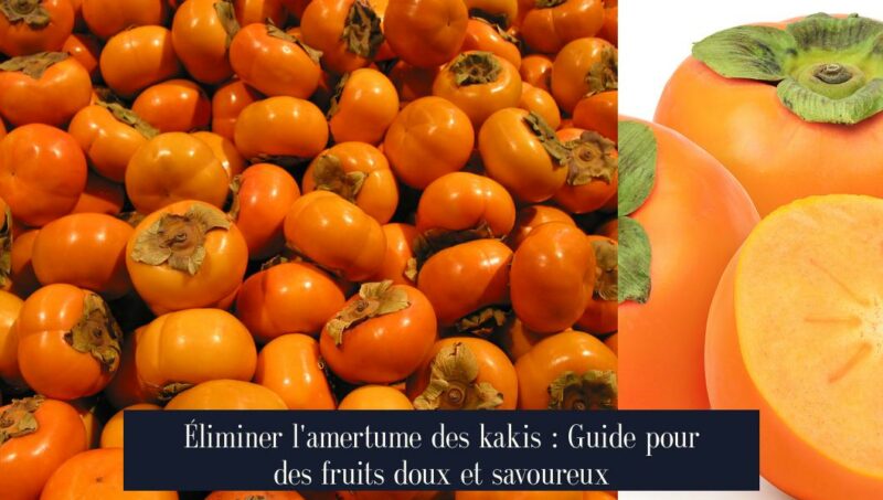 Éliminer l'amertume des kakis : Guide pour des fruits doux et savoureux