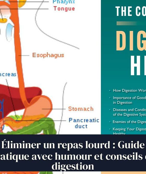 Éliminer un repas lourd : Guide pratique avec humour et conseils de digestion