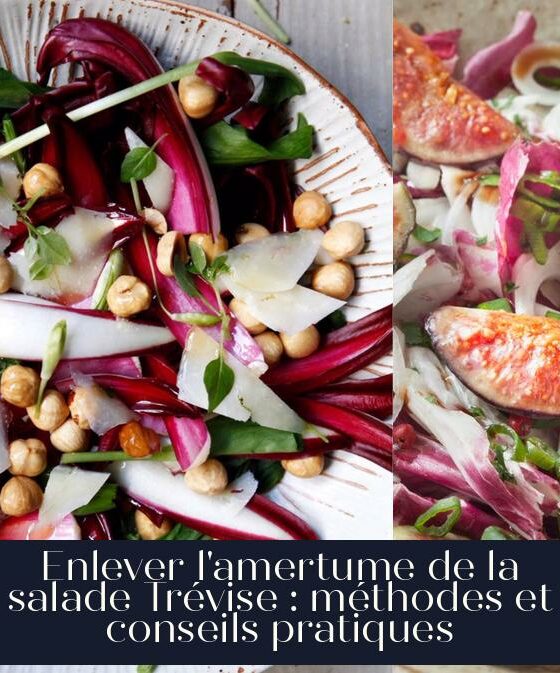 Enlever l'amertume de la salade Trévise : méthodes et conseils pratiques