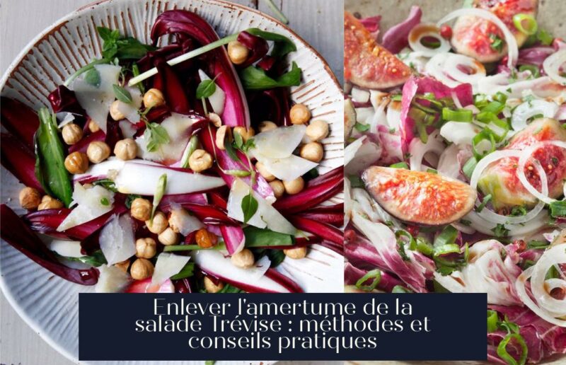 Enlever l'amertume de la salade Trévise : méthodes et conseils pratiques
