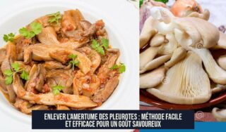 Enlever l'amertume des pleurotes : méthode facile et efficace pour un goût savoureux