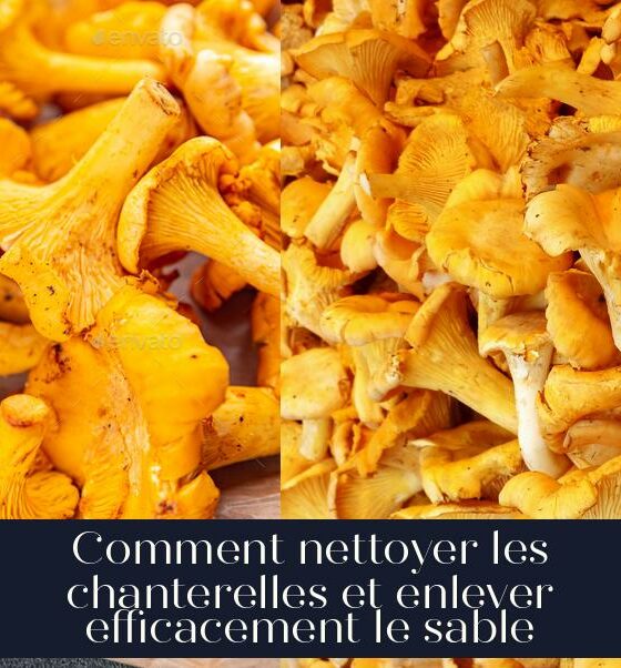 Comment nettoyer les chanterelles et enlever efficacement le sable
