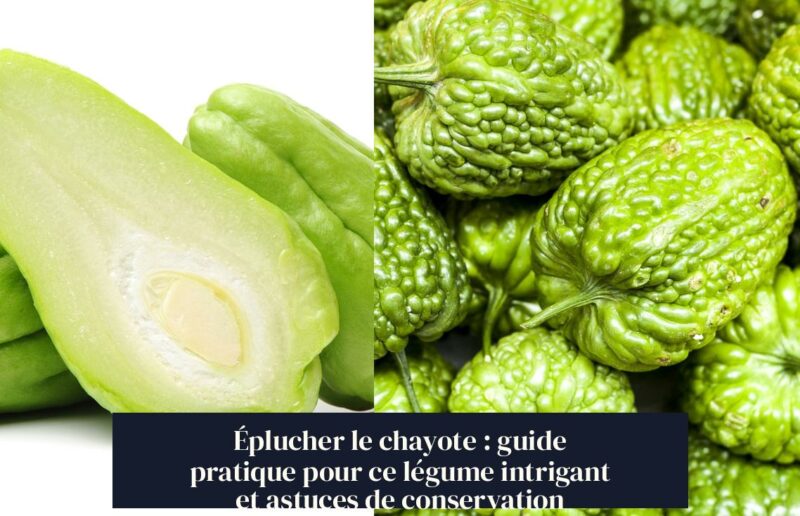 Éplucher le chayote : guide pratique pour ce légume intrigant et astuces de conservation