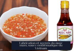 Fabrication et secrets du nuoc mam, sauce emblématique du Vietnam