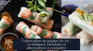 Fabrication du papier de riz : techniques, bienfaits et alternatives à connaître