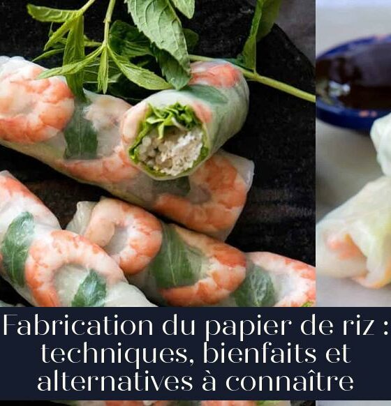 Fabrication du papier de riz : techniques, bienfaits et alternatives à connaître