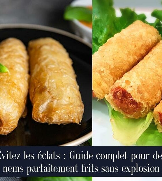 Évitez les éclats : Guide complet pour des nems parfaitement frits sans explosion
