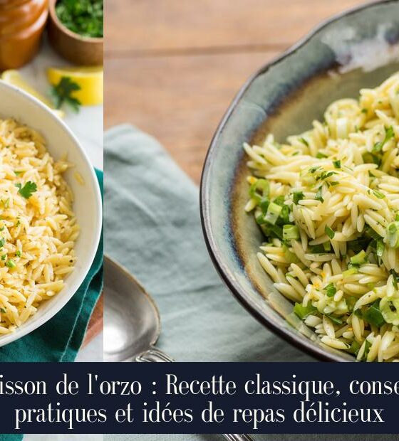 Cuisson de l'orzo : Recette classique, conseils pratiques et idées de repas délicieux