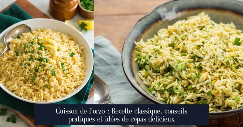 Cuisson de l'orzo : Recette classique, conseils pratiques et idées de repas délicieux