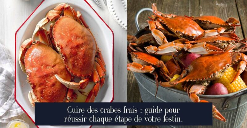 Cuire des crabes frais : guide pour réussir chaque étape de votre festin.