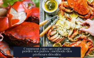 Comment cuire un crabe sans perdre ses pattes : méthode des pêcheurs dévoilée