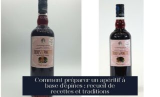 Comment préparer un apéritif à base d'épines : recueil de recettes et traditions