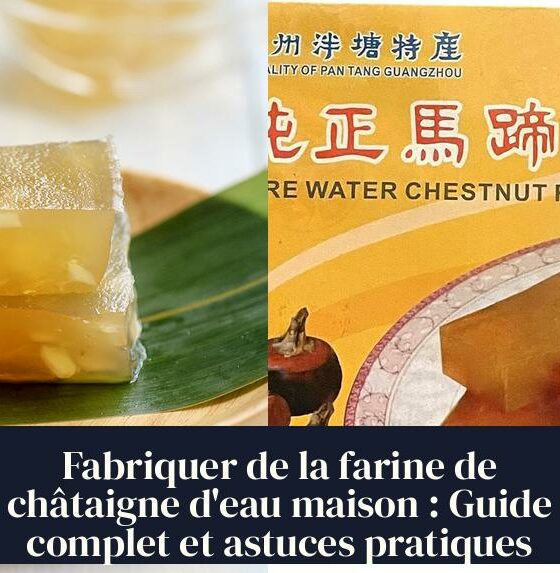 Fabriquer de la farine de châtaigne d'eau maison : Guide complet et astuces pratiques