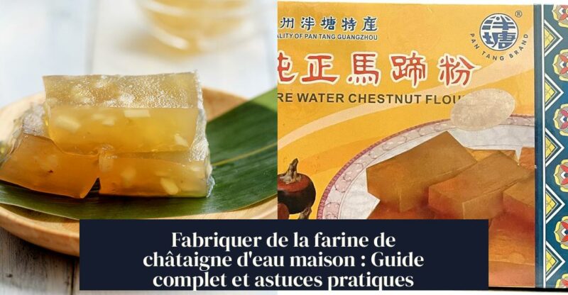 Fabriquer de la farine de châtaigne d'eau maison : Guide complet et astuces pratiques