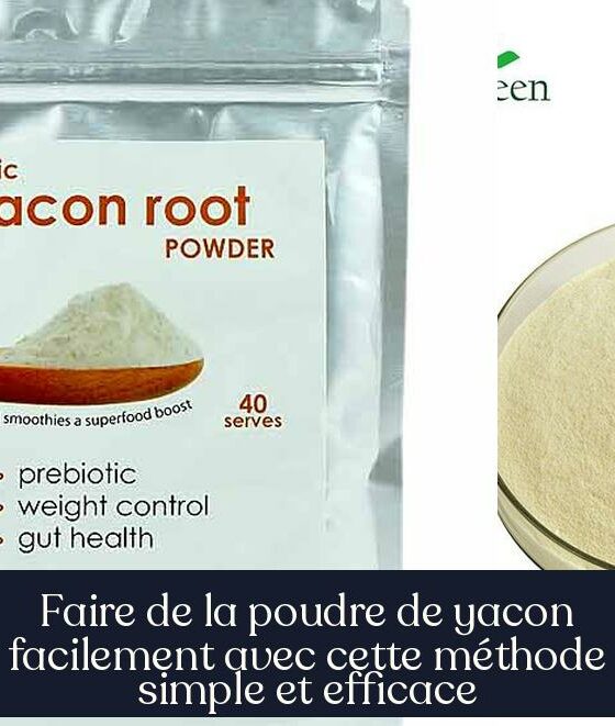 Faire de la poudre de yacon facilement avec cette méthode simple et efficace
