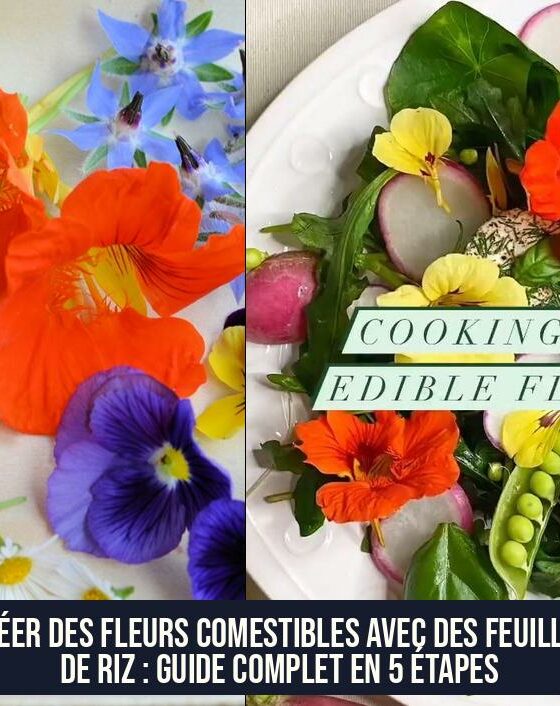 Créer des fleurs comestibles avec des feuilles de riz : guide complet en 5 étapes