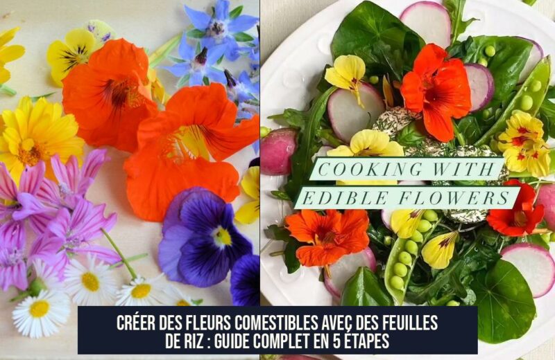 Créer des fleurs comestibles avec des feuilles de riz : guide complet en 5 étapes