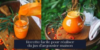 Recette facile pour réaliser du jus d'argousier maison