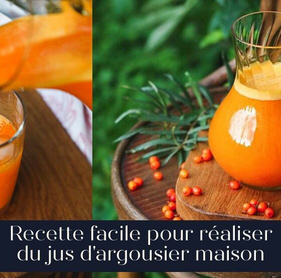 Recette facile pour réaliser du jus d'argousier maison