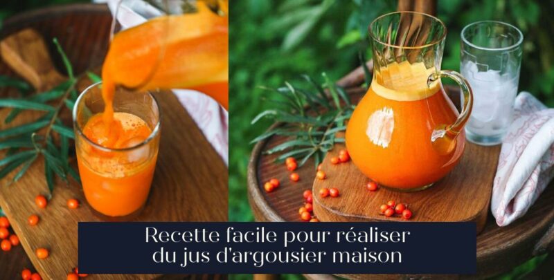 Recette facile pour réaliser du jus d'argousier maison