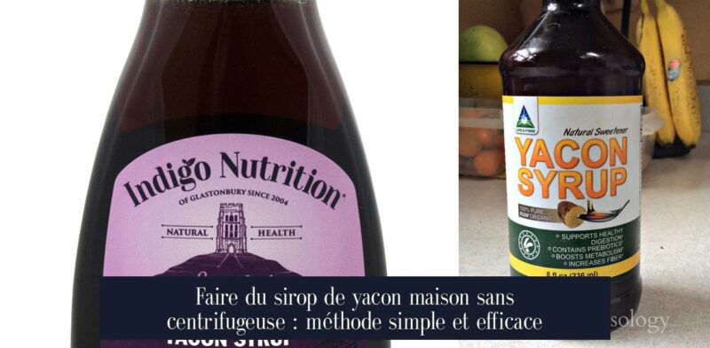 Faire du sirop de yacon maison sans centrifugeuse : méthode simple et efficace