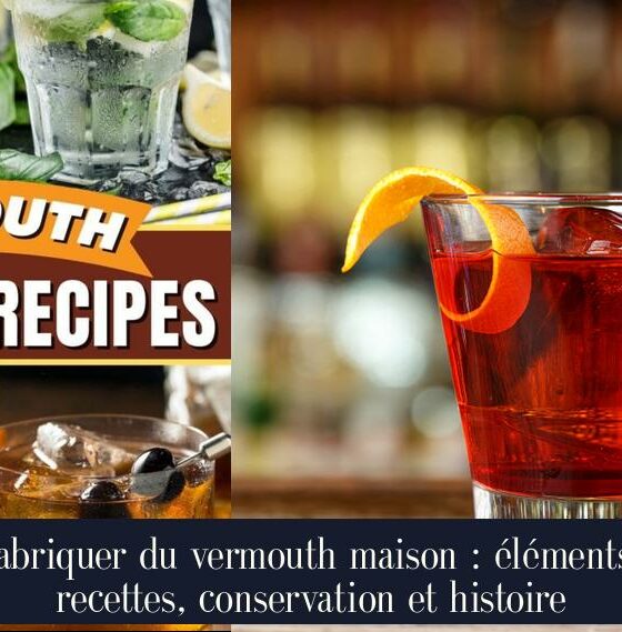 Fabriquer du vermouth maison : éléments, recettes, conservation et histoire