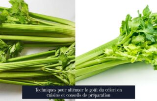 Techniques pour atténuer le goût du céleri en cuisine et conseils de préparation