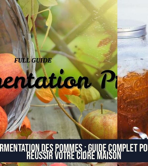 Fermentation des pommes : Guide complet pour réussir votre cidre maison