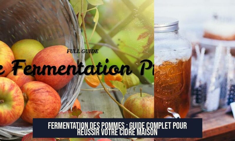 Fermentation des pommes : Guide complet pour réussir votre cidre maison