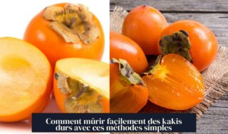 Comment mûrir facilement des kakis durs avec ces méthodes simples