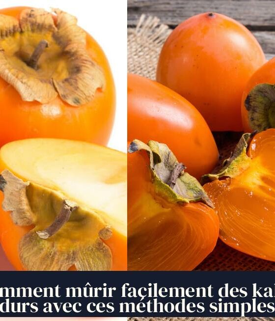 Comment mûrir facilement des kakis durs avec ces méthodes simples