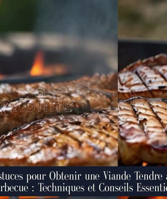 Astuces pour Obtenir une Viande Tendre au Barbecue : Techniques et Conseils Essentiels