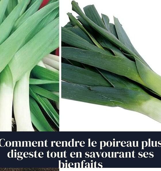 Comment rendre le poireau plus digeste tout en savourant ses bienfaits