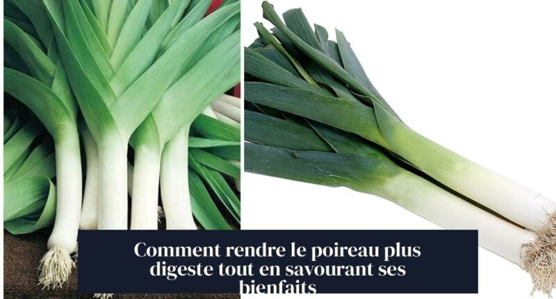 Comment rendre le poireau plus digeste tout en savourant ses bienfaits