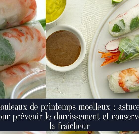 Rouleaux de printemps moelleux : astuces pour prévenir le durcissement et conserver la fraîcheur