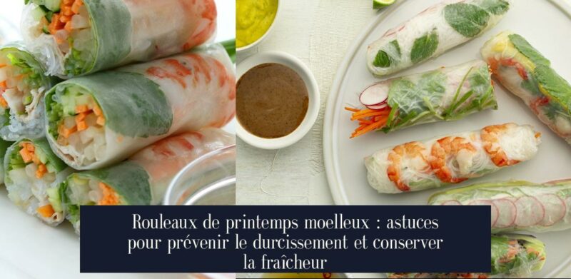 Rouleaux de printemps moelleux : astuces pour prévenir le durcissement et conserver la fraîcheur