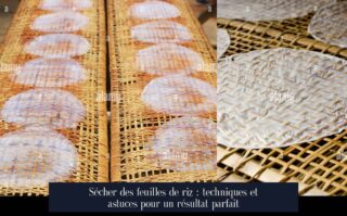 Sécher des feuilles de riz : techniques et astuces pour un résultat parfait