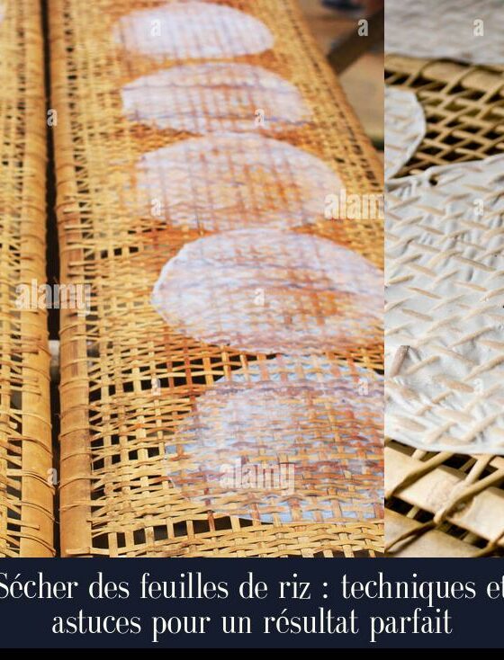 Sécher des feuilles de riz : techniques et astuces pour un résultat parfait