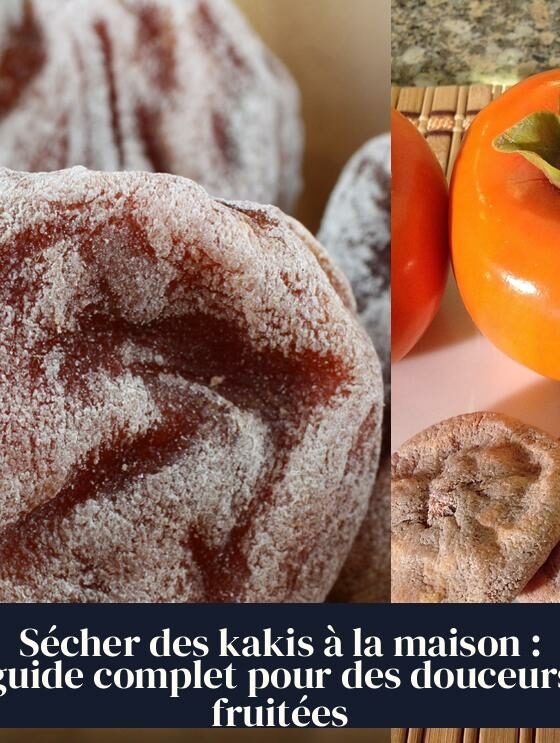 Sécher des kakis à la maison : guide complet pour des douceurs fruitées