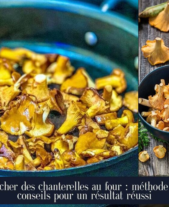 Sécher des chanterelles au four : méthode et conseils pour un résultat réussi