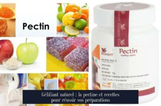 Gélifiant naturel : la pectine et recettes pour réussir vos préparations