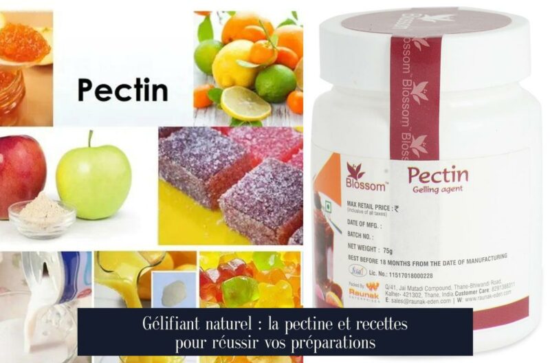 Gélifiant naturel : la pectine et recettes pour réussir vos préparations