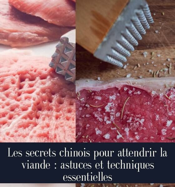 Les secrets chinois pour attendrir la viande : astuces et techniques essentielles