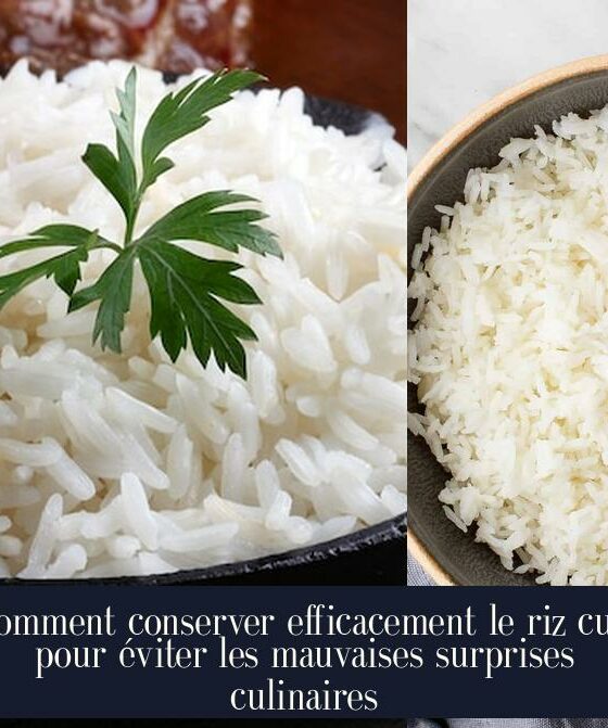 Comment conserver efficacement le riz cuit pour éviter les mauvaises surprises culinaires