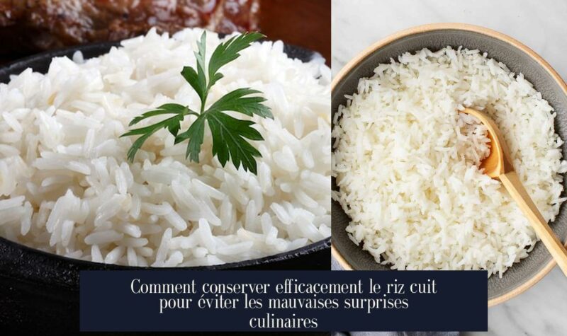 Comment conserver efficacement le riz cuit pour éviter les mauvaises surprises culinaires