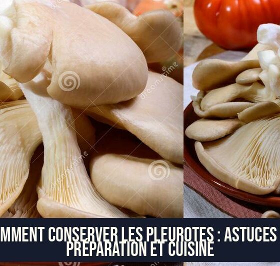 Comment conserver les pleurotes : astuces de préparation et cuisine