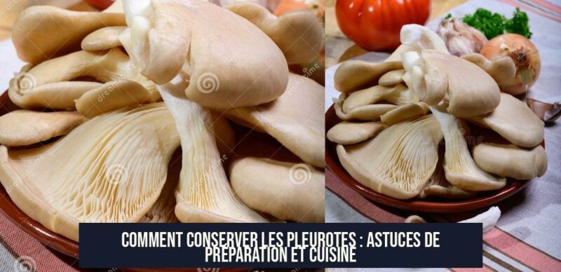 Comment conserver les pleurotes : astuces de préparation et cuisine