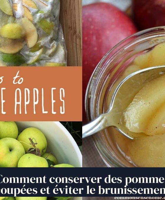 Comment conserver des pommes coupées et éviter le brunissement