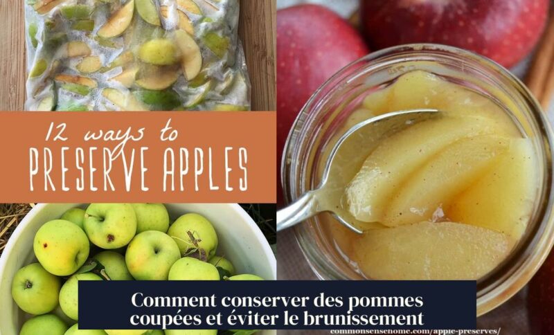 Comment conserver des pommes coupées et éviter le brunissement