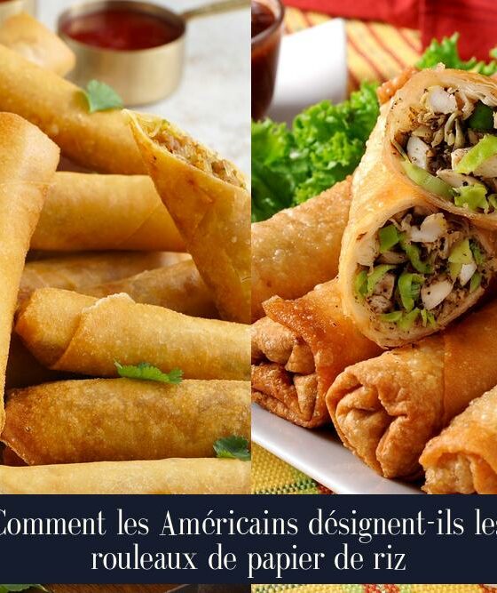 Comment les Américains désignent-ils les rouleaux de papier de riz